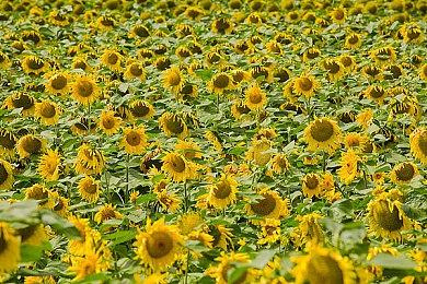 《绝地求生》将迎来重大更新，虚幻5引擎带来全新体验